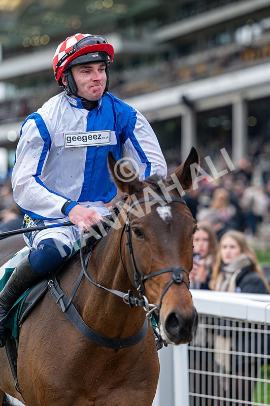 161125-Race 2-Kdeux Saint Fray-1377 - Race 2