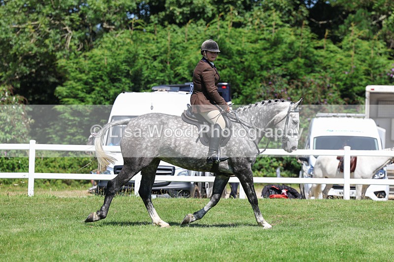 3E7A8935 - Class 6: Open Working Horse
