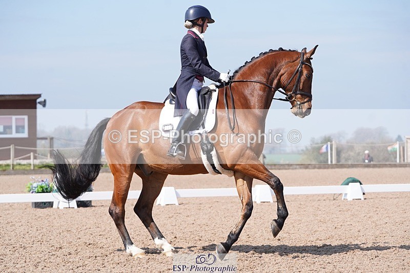 250404-122900-05665 - 028-Elizabeth.Allen-Heraldik