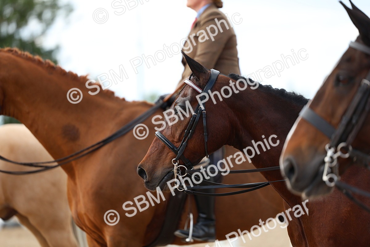 SBM_17218 - Class 315 - Best Horse - Rider Combination