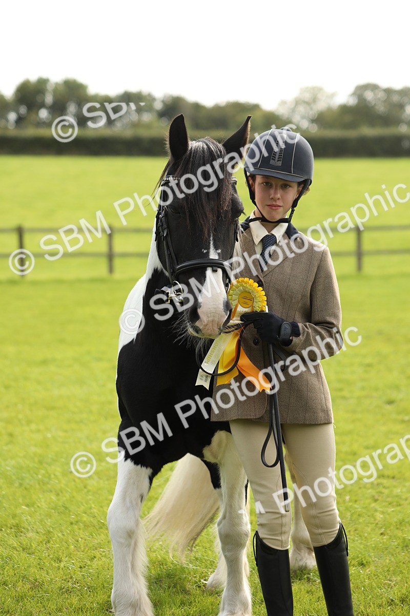 SBM_68768 - S40 - Junior Handler 9-12 Years