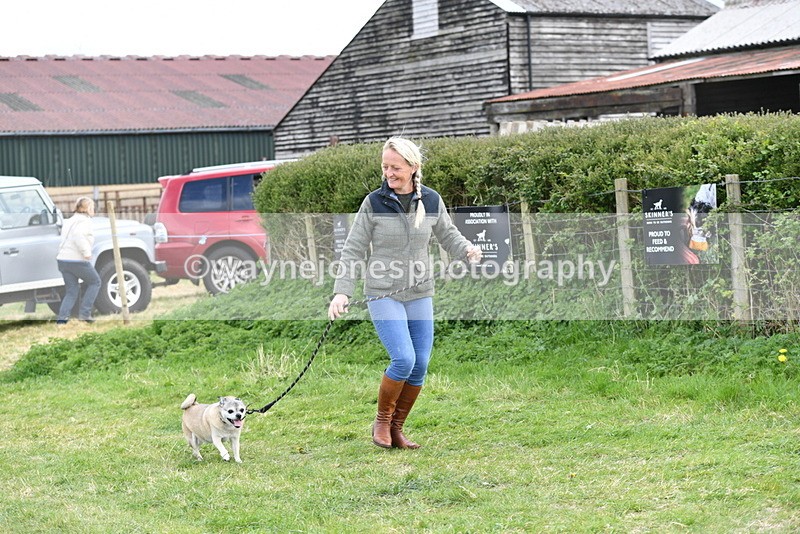 WJ5_0087 - Class 5 Best Veteran / 7 years & over