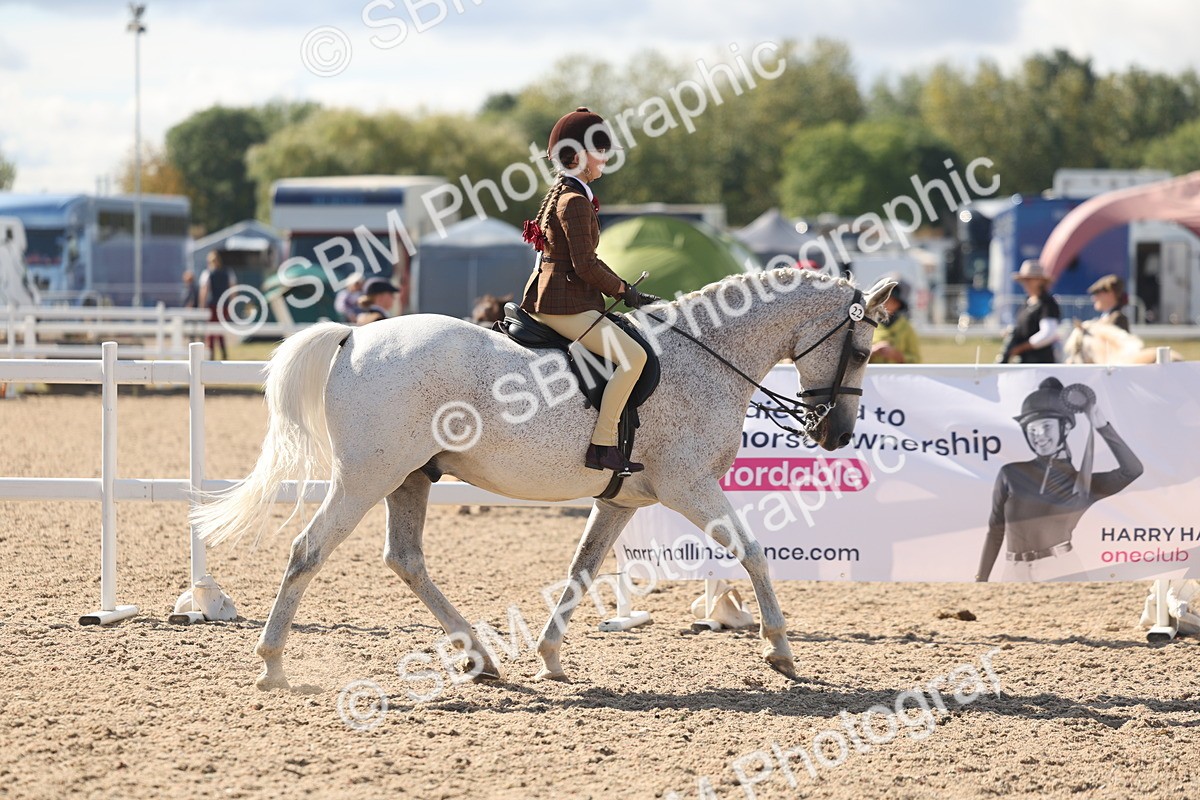 SBM_13162 - Class 306 - Ridden Foreign Breds - Part Bred