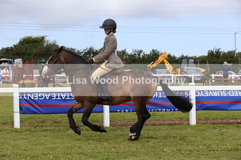 1X9A4088 - Class 32: Show Hunter Pony 153cm and under