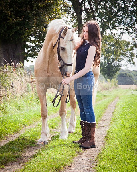 IMG_2775 - Equine Gallery Portfolio