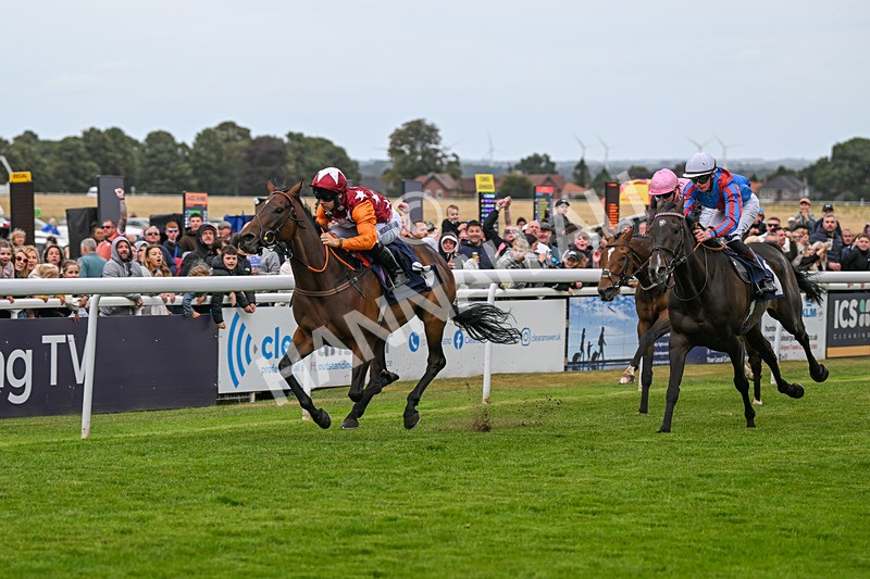 250824-Race 5-Lincoln Rockstar-3675 - Race 5