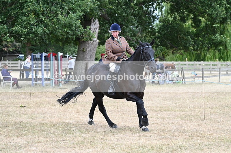 WJ7_1330 - Class 8 Ridden Veterans