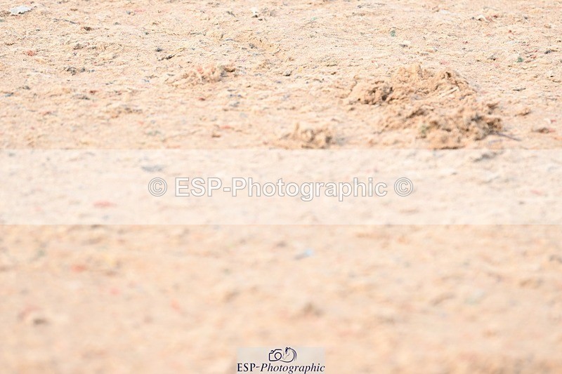 250424-090240-03424 - Cls 13 - 1 Star Bronze Tour