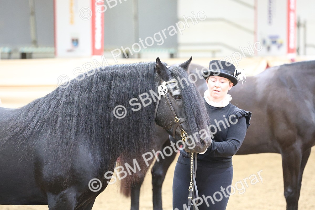 SBM_22496 - Class 902 - Supreme Final - IH Diamond