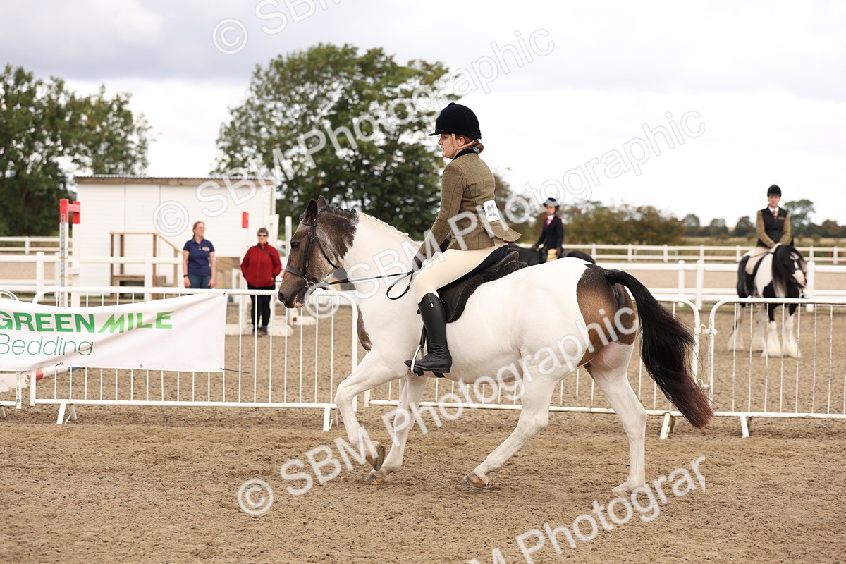 SBM_02886 - Class 53 - Ridden Competition Horse/Pony