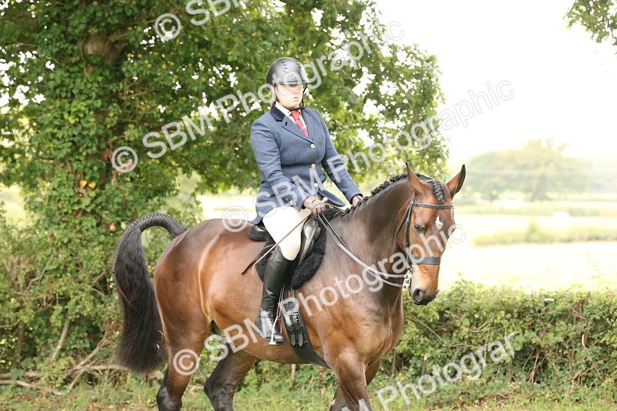 SBM_62992 - S64 - Foreign Breeds Ridden