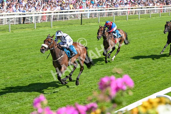 120725-Race 4-Al Qareem-5797 - Race 4 3.45pm John Smith's Silver Cup Stakes