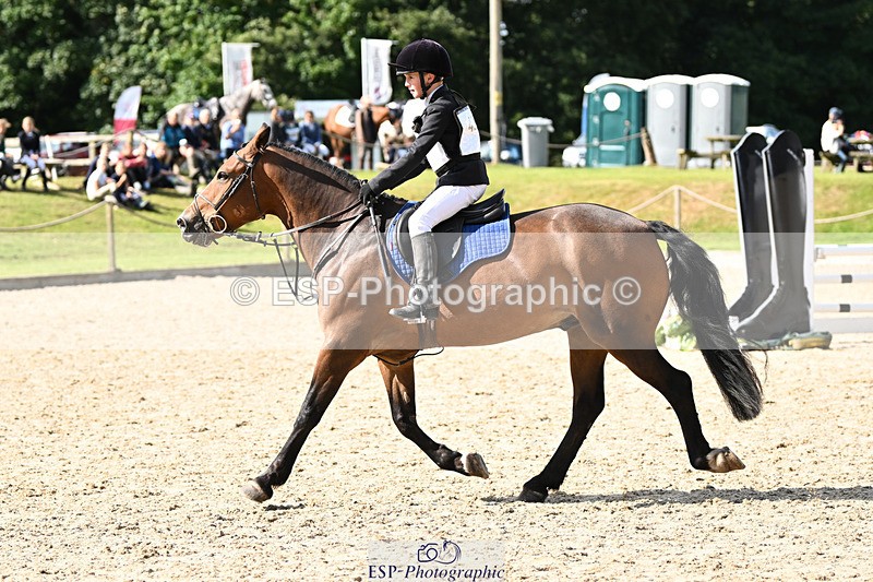 240824X-153902-29726 - 80cm Round 2 15.30 to 16.50