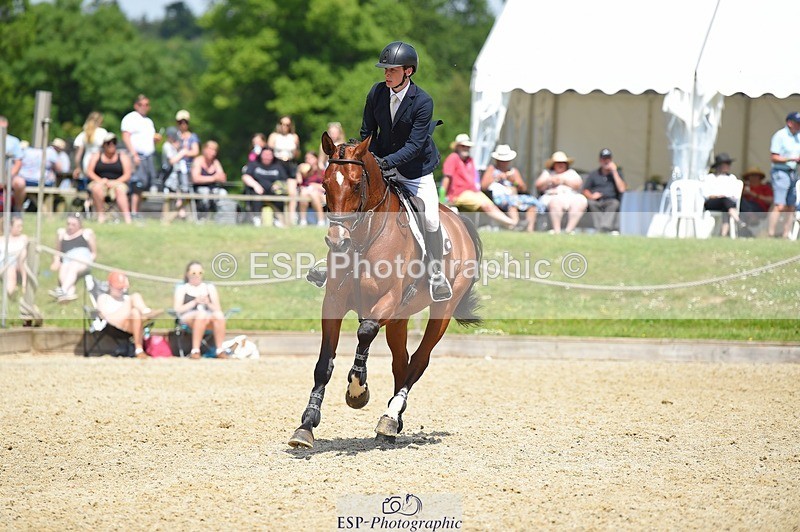 230528-121322-15590 - 318-JUST_HAVE_FAITH_TN-Alfie_Marshall-SUNTrotUp+SJ