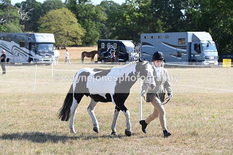 WJ6_7225 - Class 33 Rescue Pony