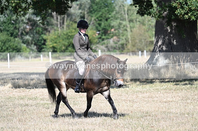 WJ7_3958 - Class 9 Mountain & Moorland Ridden