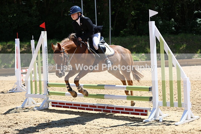 3E7A2517 - Class 4/5: 60cm Open Teams and Individuals