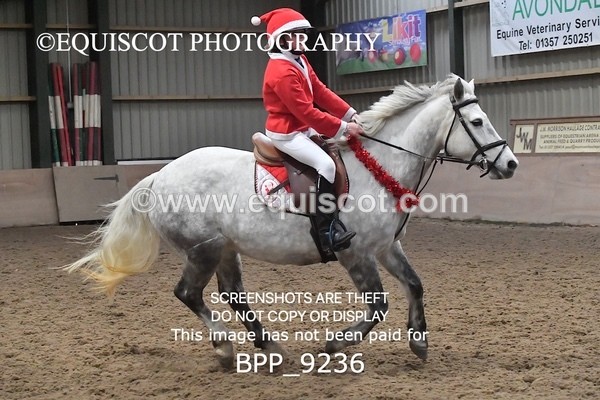 BPP_9236 - CLASS 4 50CM Novice Show Jumping
