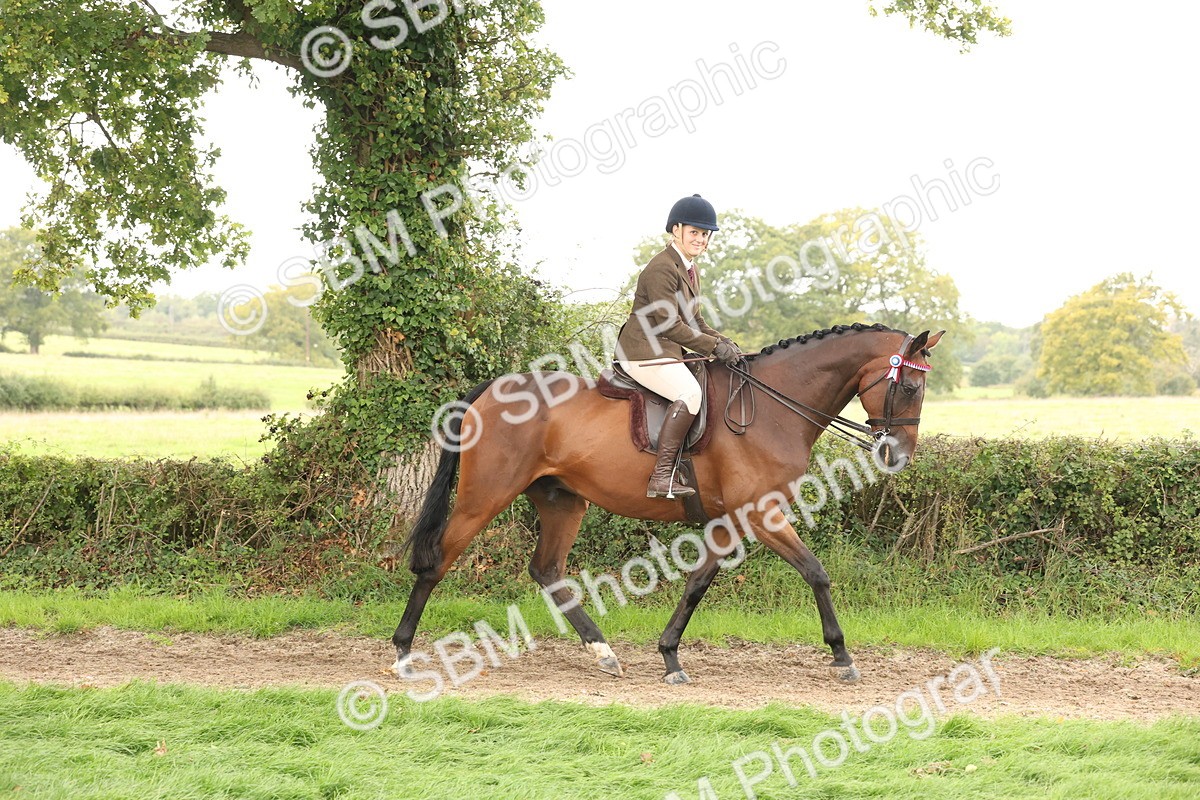 SBM_64168 - S65 - Riding Horse & Hack & Thoroughbred Ridden