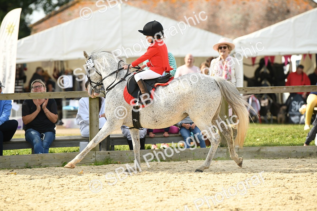 SBM_65129 - J48 - Pairs Jumping Open 70cm & 85cm