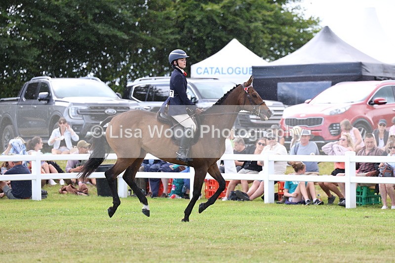 3E7A2341 - Class 11: Retraining of Racehorse