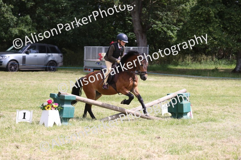 20260614-1811 - Class 21 - Novice Working Hunter Pony