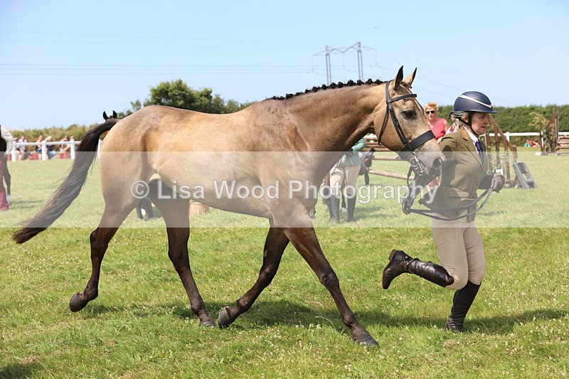 JPP_3403 - Class 22: Working Hunter 70cm