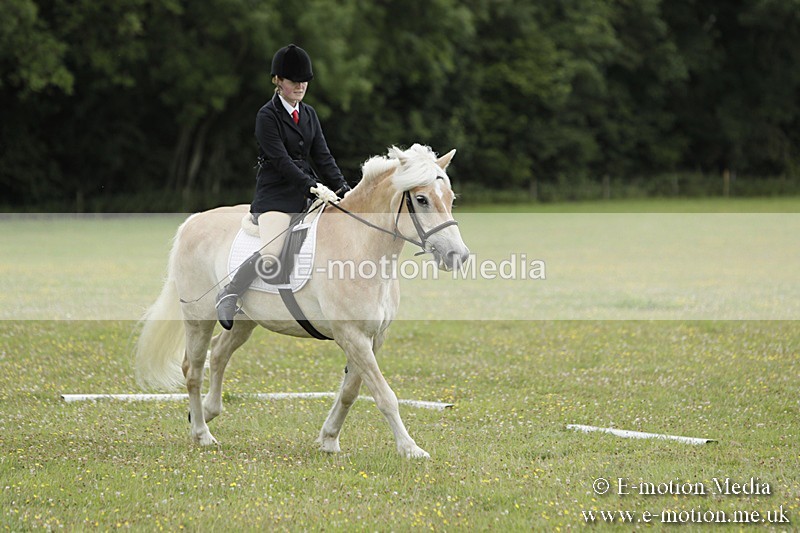 BVR160717-1219 - Class 2 Dressage 16/07/17