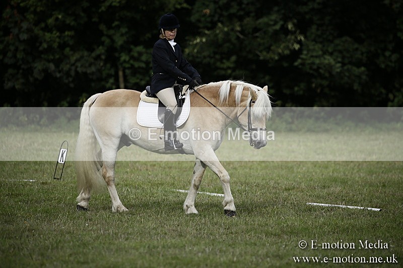 BVR090918 76 - BVRC Dressage and Show Jumping 09/09/18