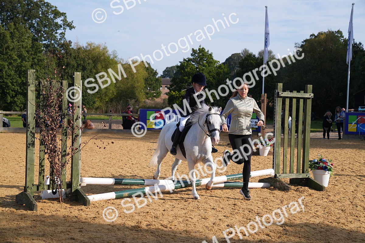 SBM_61280 - J1 - Mini Tour Junior Pony Lead Rein 30cm Championship