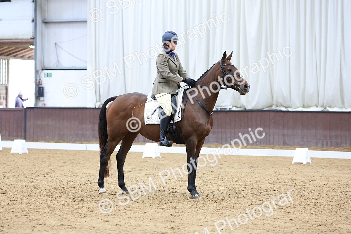 SBM_003445 - Elementary 1