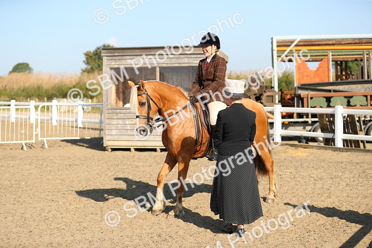 SBM_01194 - Class 42 Ridden Veteran