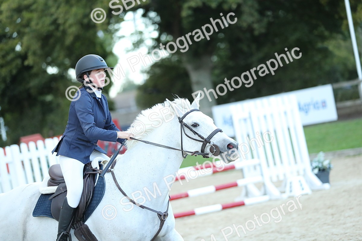 SBM_53734 - Supreme Championship 65cm 70cm