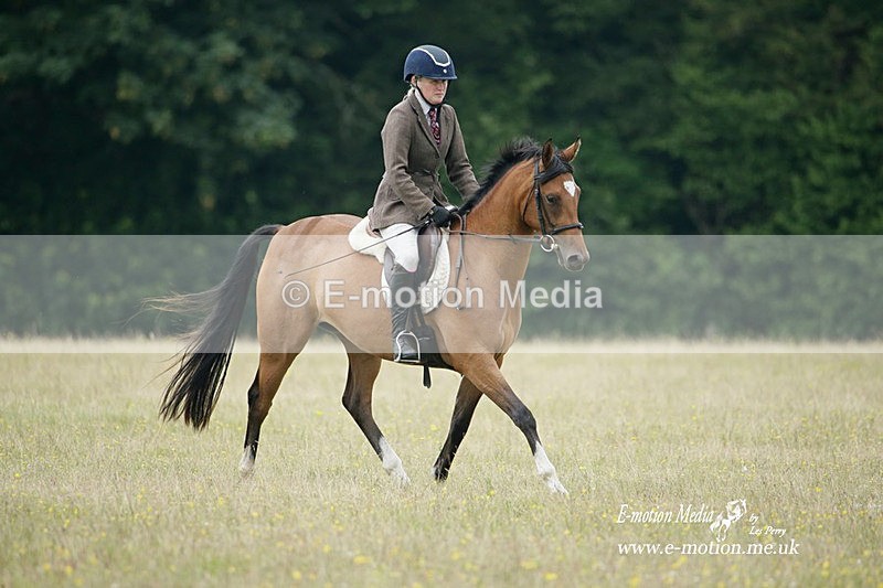 BVRC 030721 461 - Bourne Valley Riding Club Dressage 03/07/21
