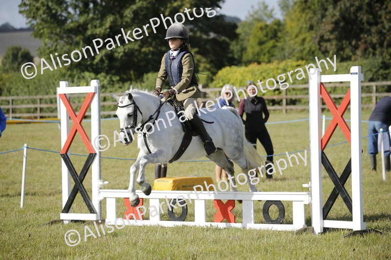 20250831-0197 - Class 1 - 50cm