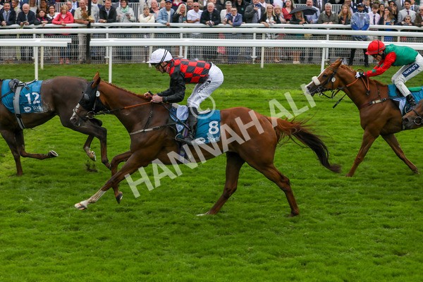 130724-Race 1-Blue For You-1952 - Race 1 2.00pm John Smith's Racing Handicap