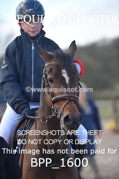 BPP_1600 - CLASS 8 Springboard