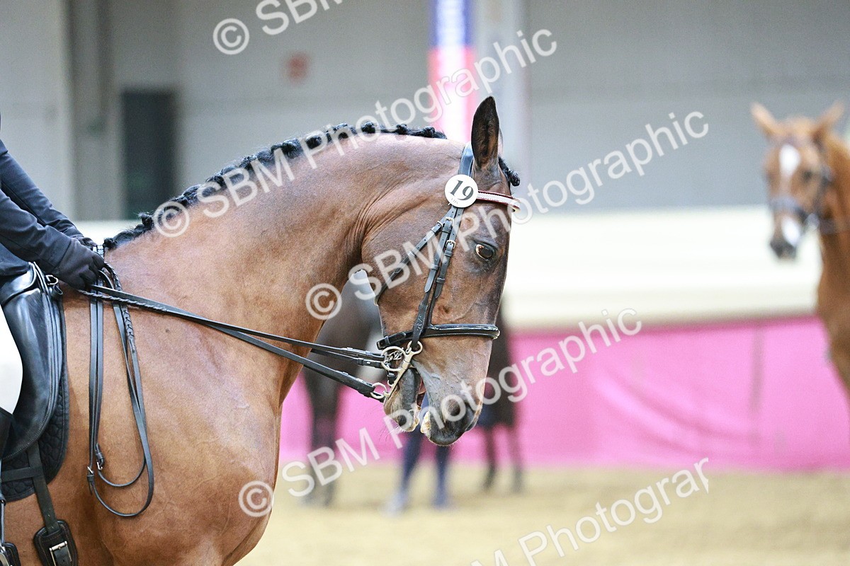 SBM_03413 - Class 6A Area Ridden Pre-Vet