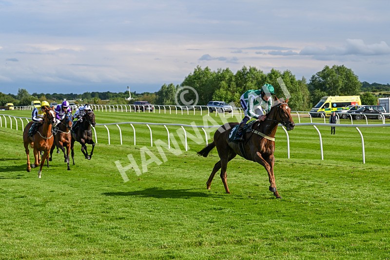 180624-Race 6-Infinite Honour-0766 - Race 6