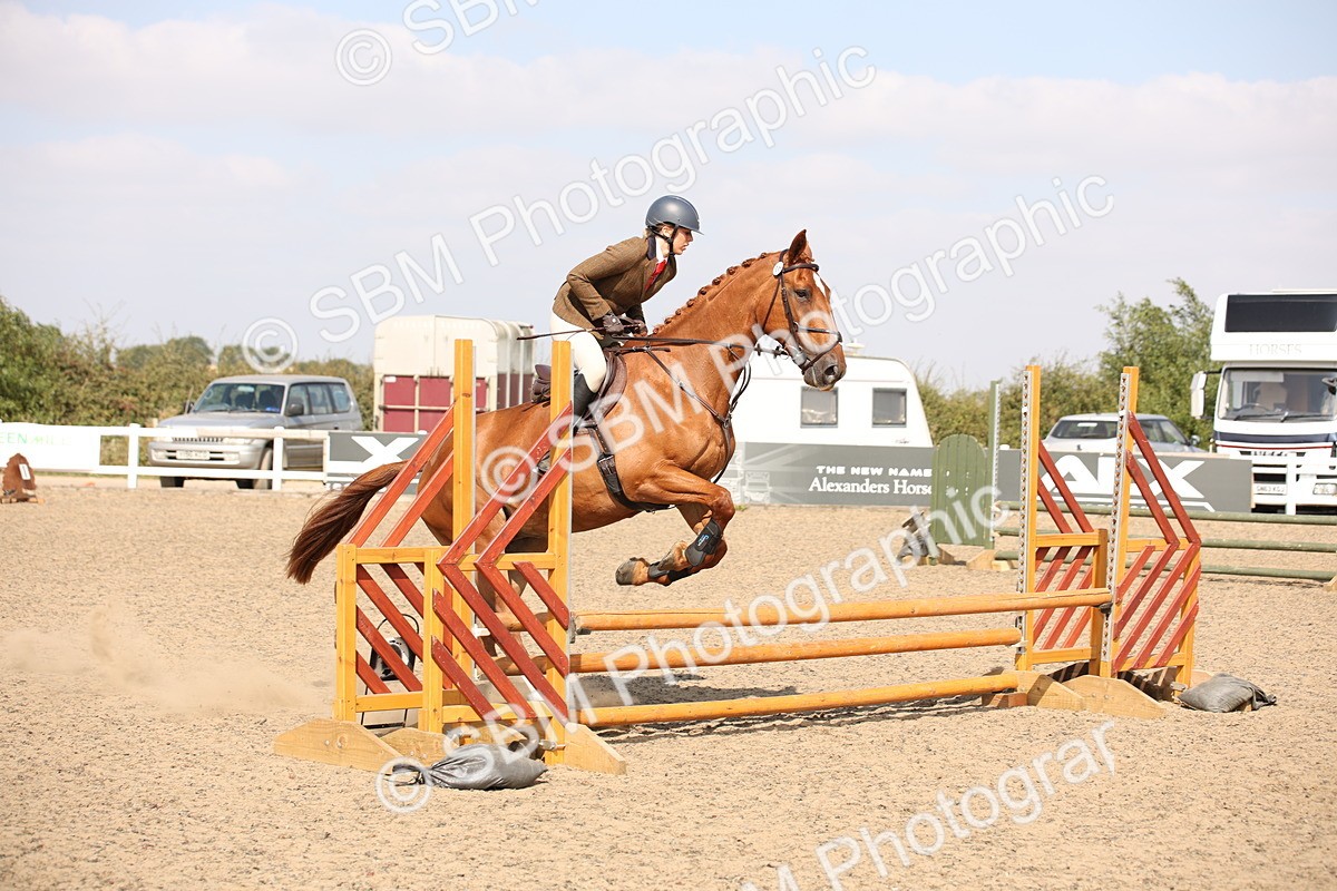 SBM_15016 - Class 408a - Working Veteran 70cm (15-19