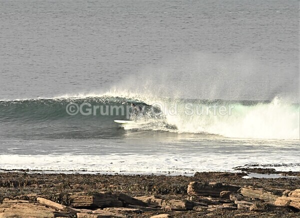 DSC_9272 - Thurso 6th November 2022