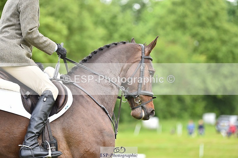 240523B-103652-01806 - 4 Year Old