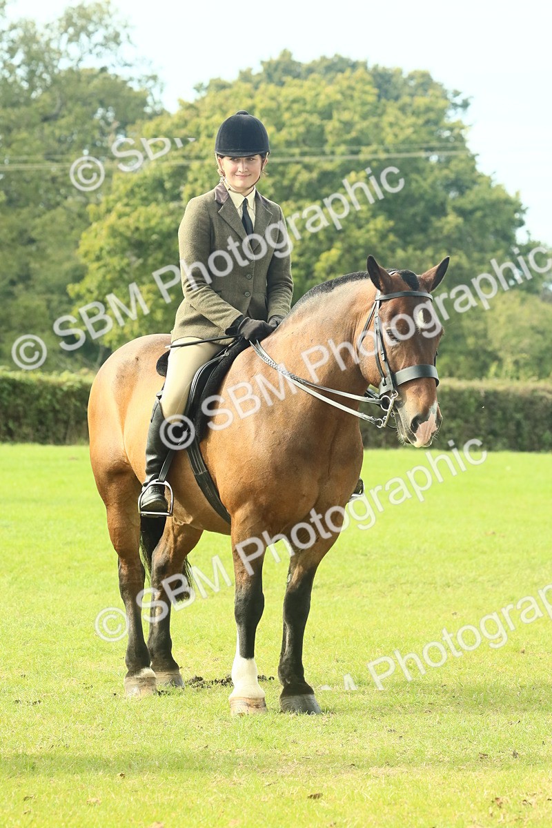 SBM_69377 - S58 - Mini Show Cob Ridden