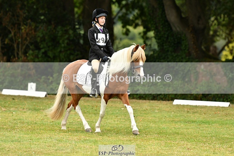 250820A-114704-05277 - 11am to 12