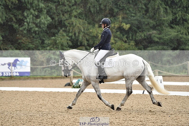 140110A-002334-10601 - 080-Polly.Vogel-Loughamore.Lady