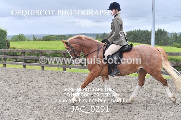 JAC_0291 - CLASS 4 BSPS Scone Palace HT Training Stakes Series (0.60m