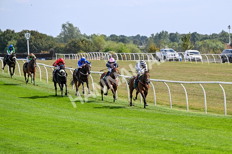 260826-Race 2-Lady Gormire-2333 - Race 2 14:45 Berber Leather Maiden Stakes