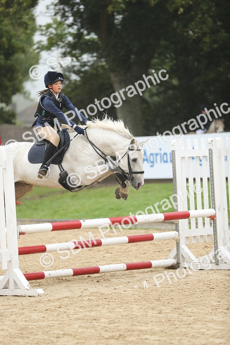 SBM_73953 - J16 - Junior Pony 75cm Championship