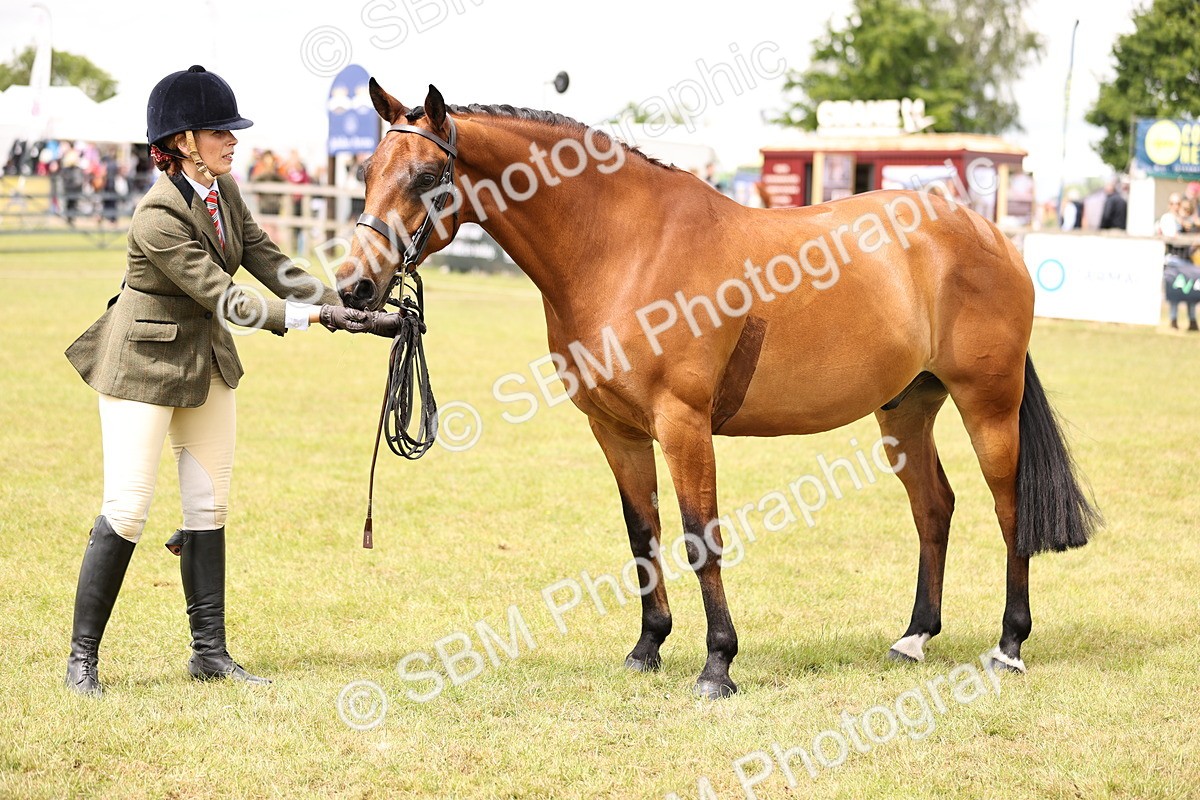 SBM_14602 - Class 88-89 - LIHS BSHA Rising Star of Ridden Hunter Type