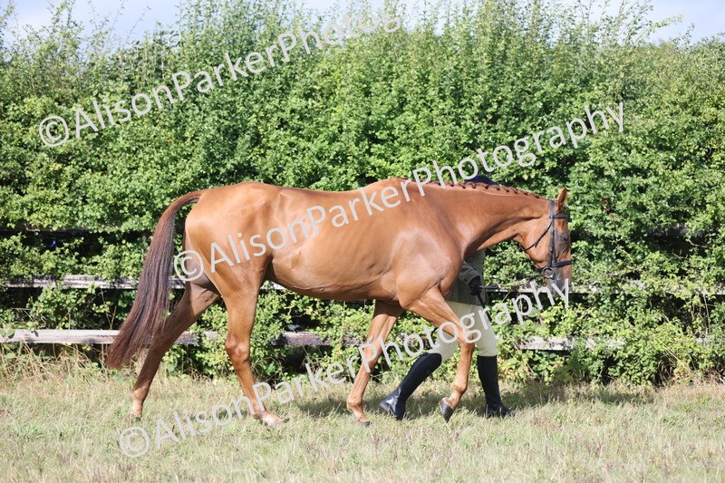 20250831-1516 - Class 21 - Inhand Open